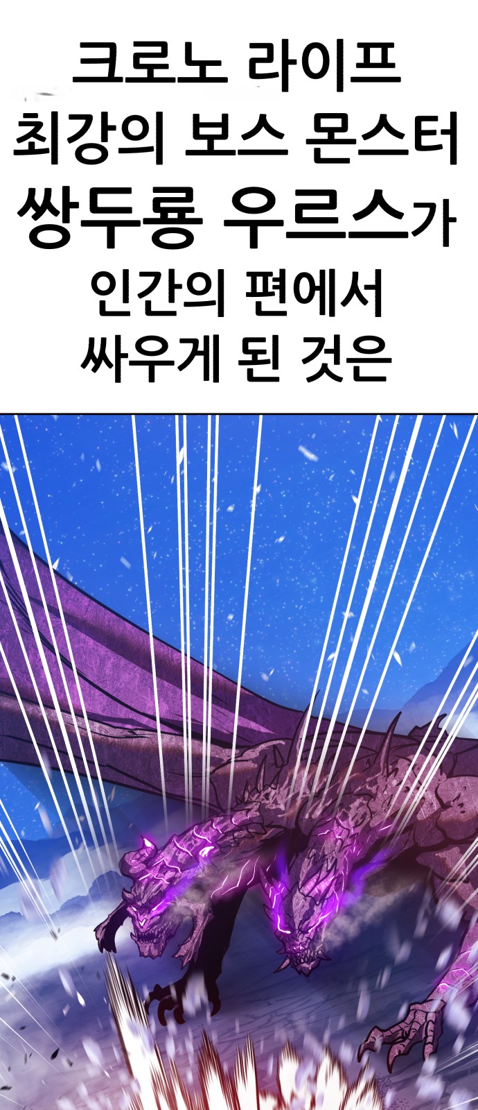 238 페이지