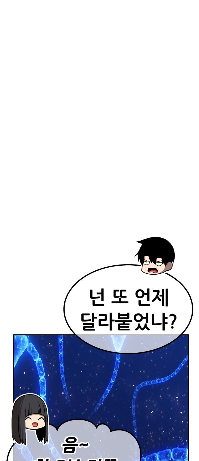 251 페이지