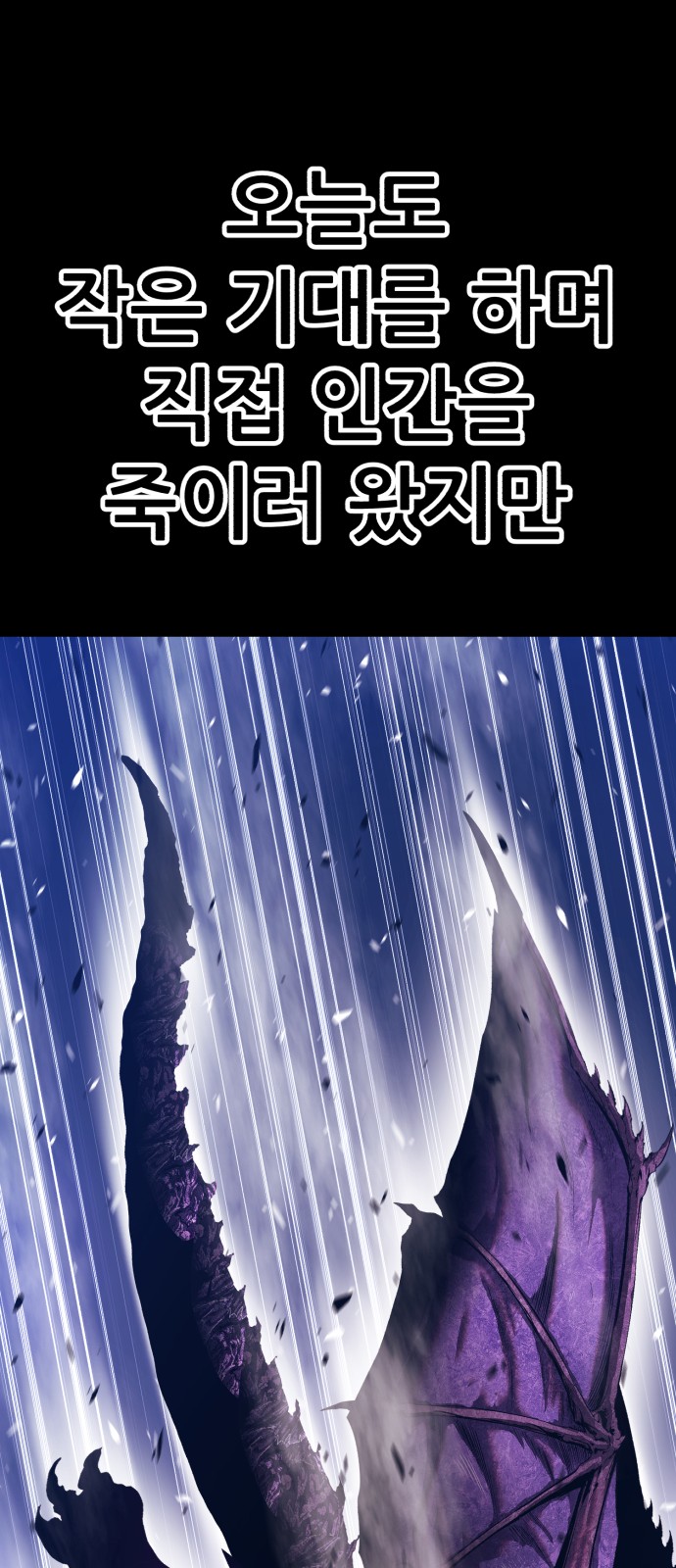 237 페이지