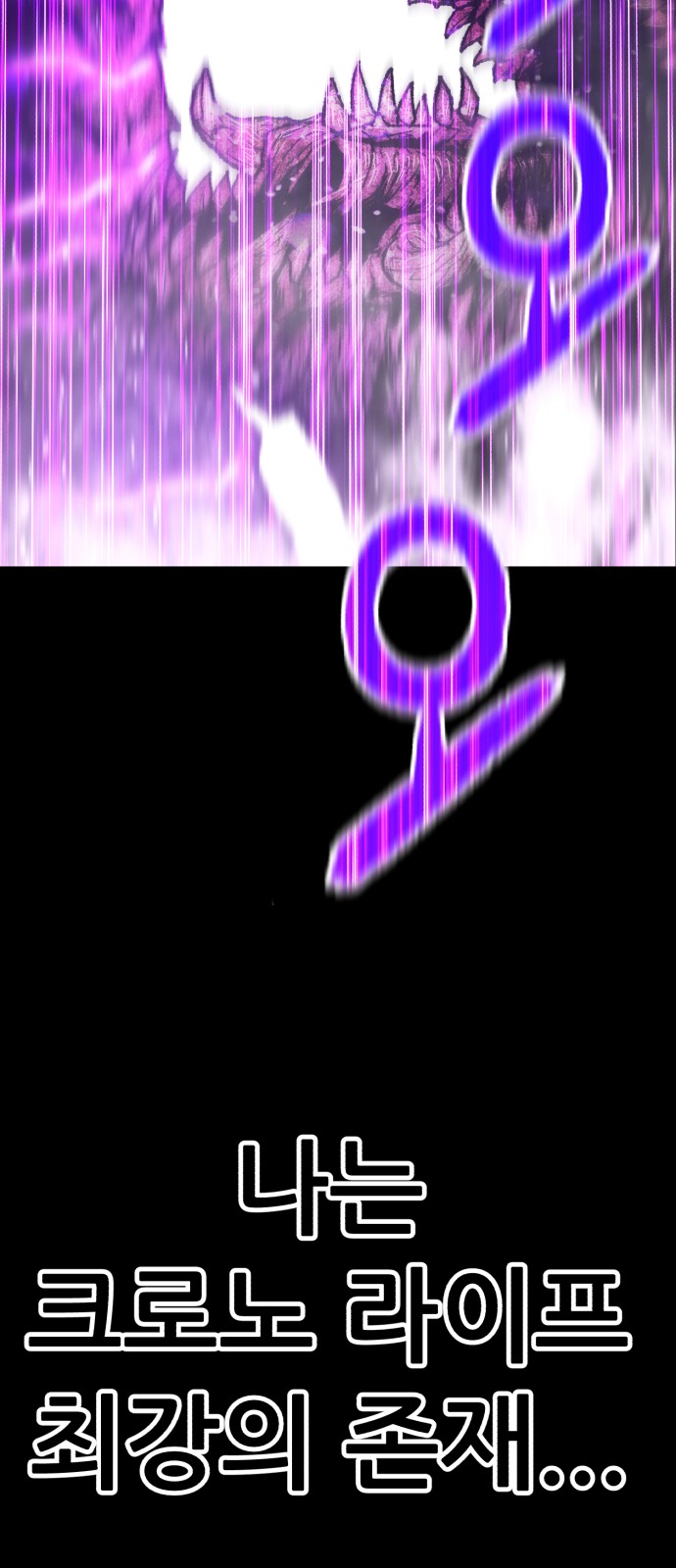 256 페이지