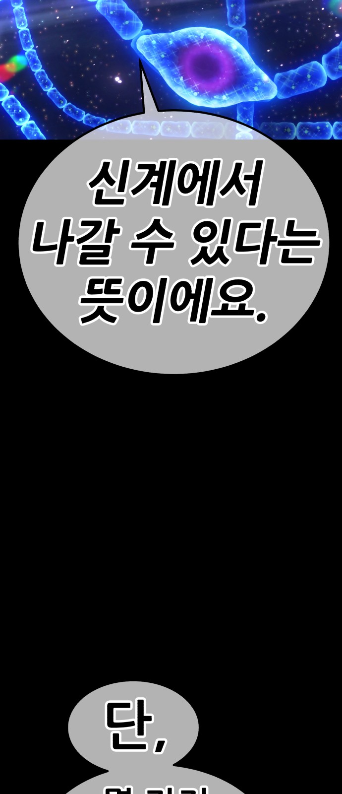 264 페이지