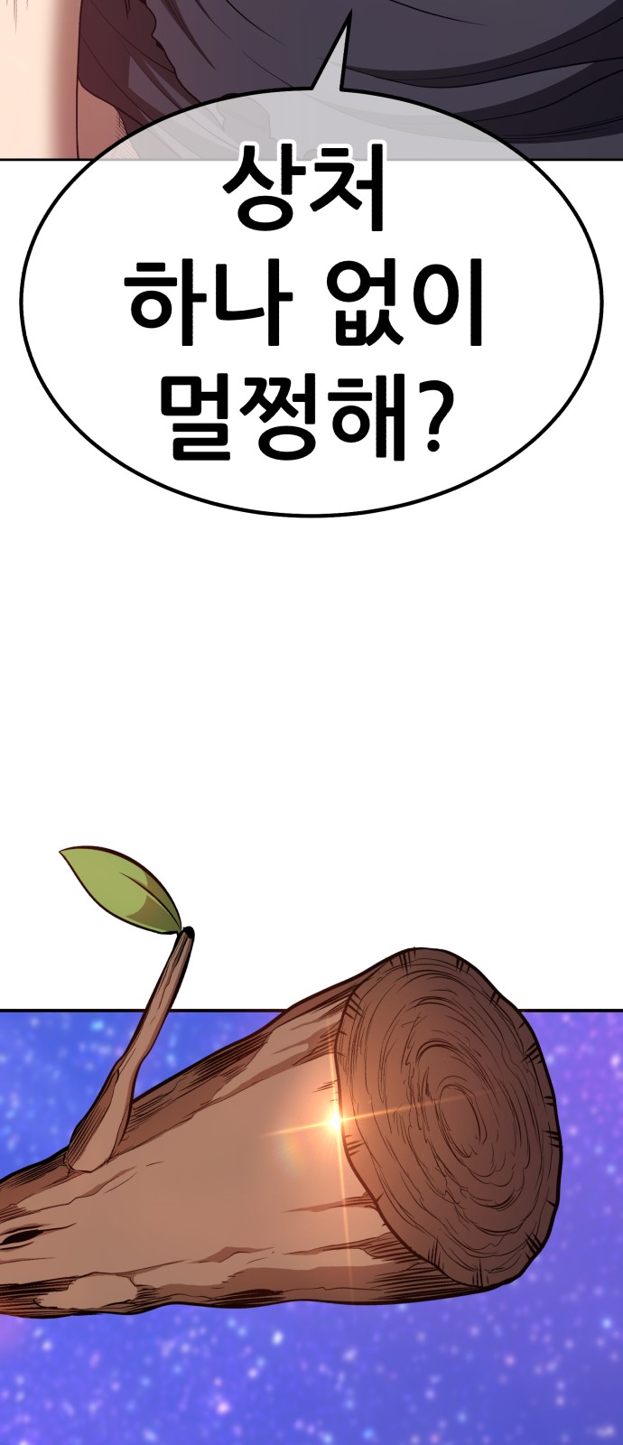 243 페이지