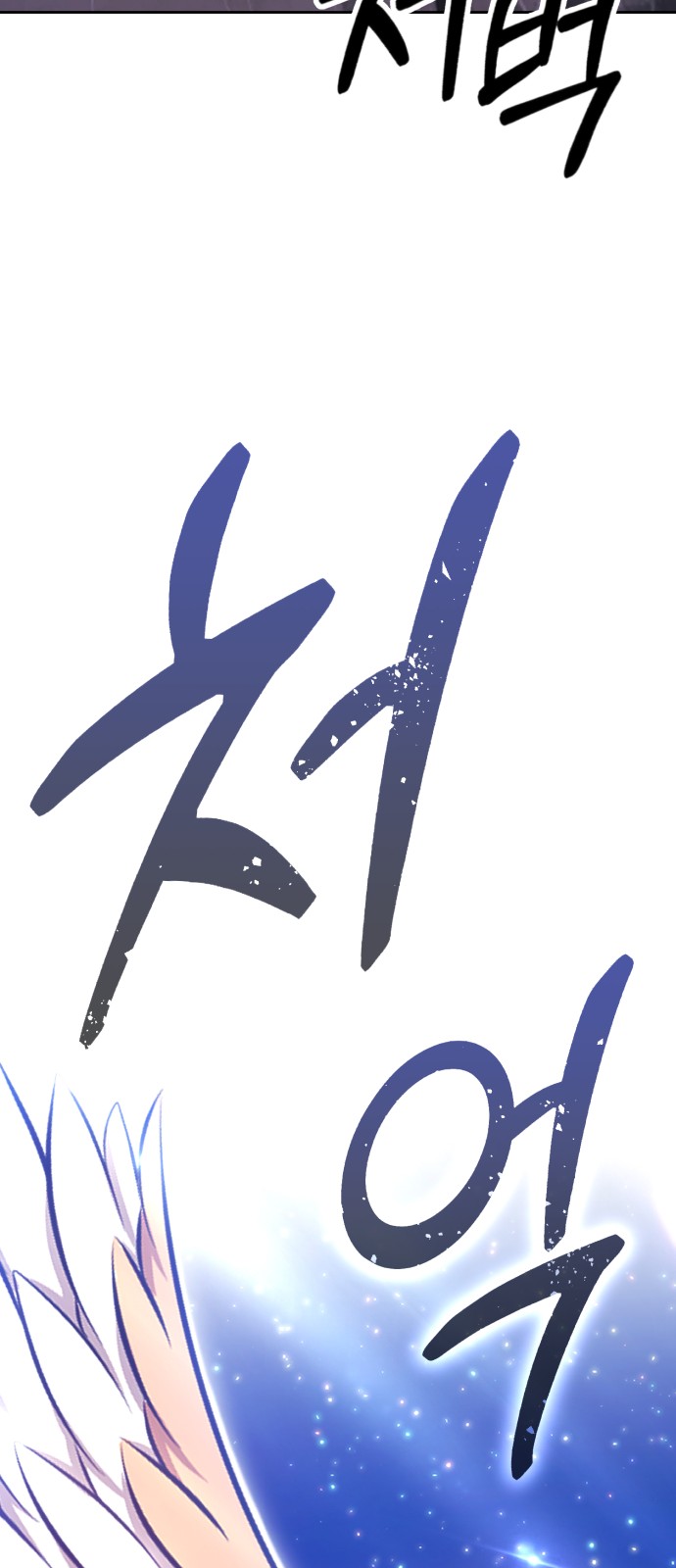 242 페이지