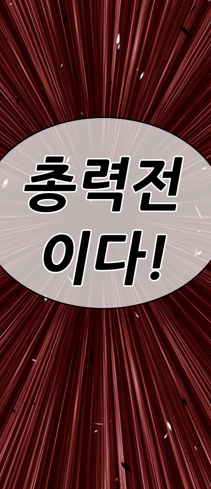 244 페이지