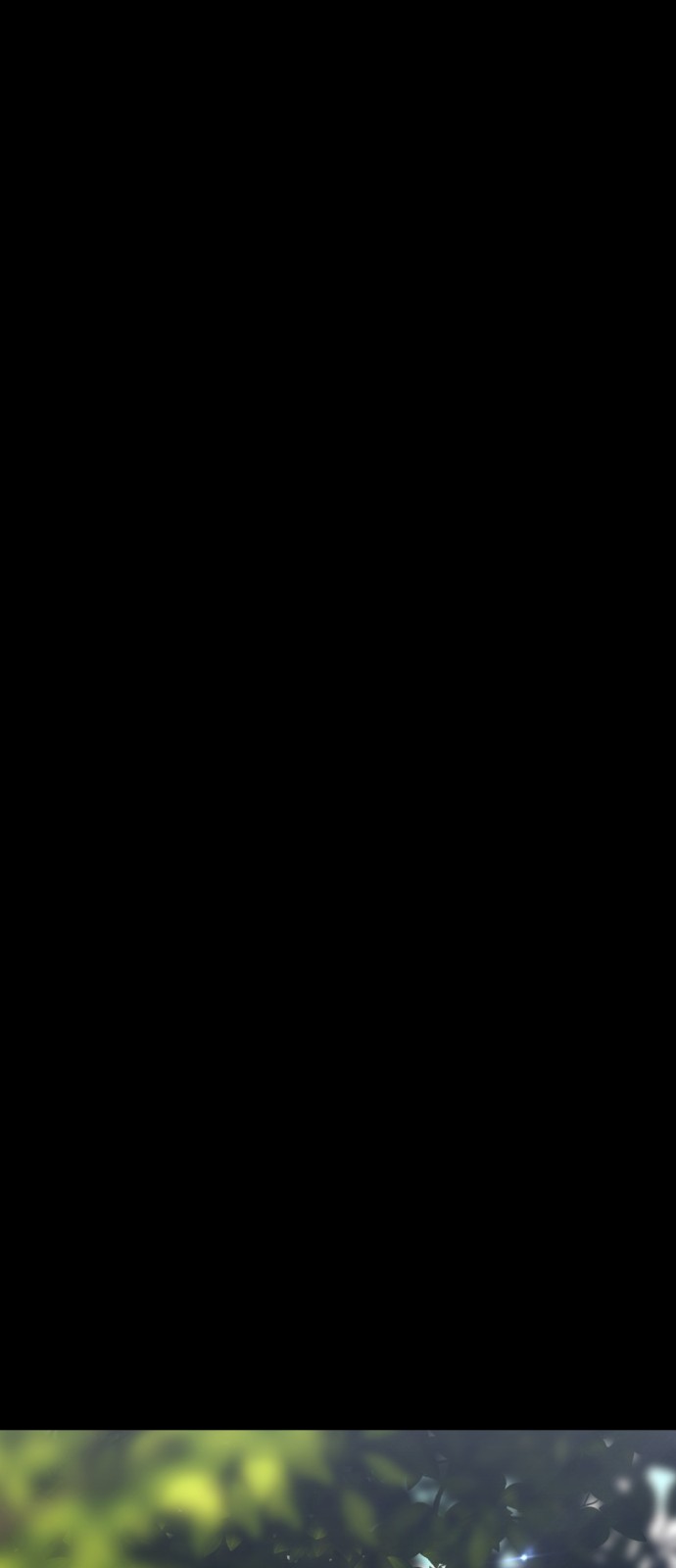 258 페이지