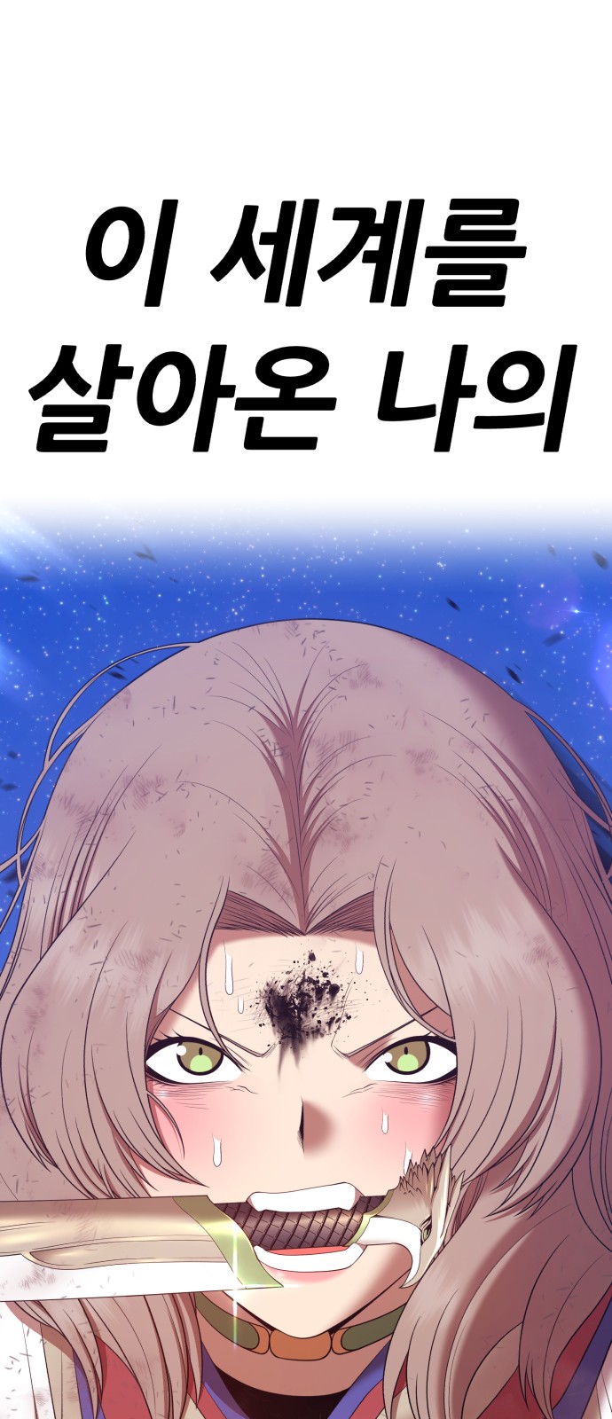 312 페이지