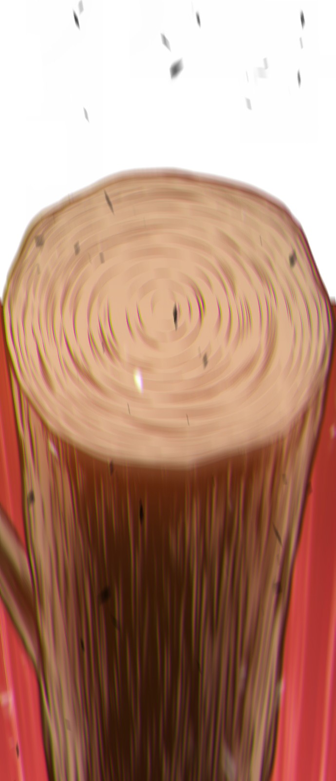 24 페이지
