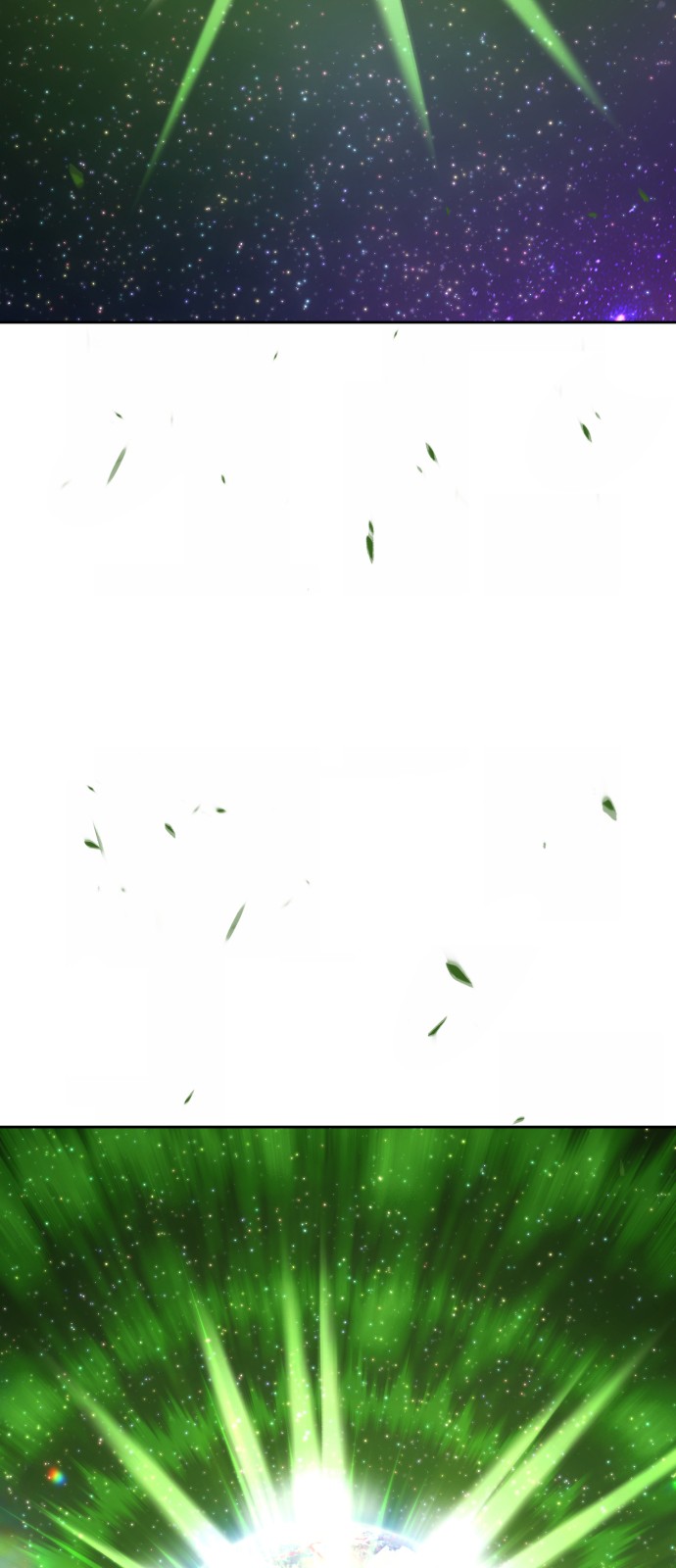 242 페이지