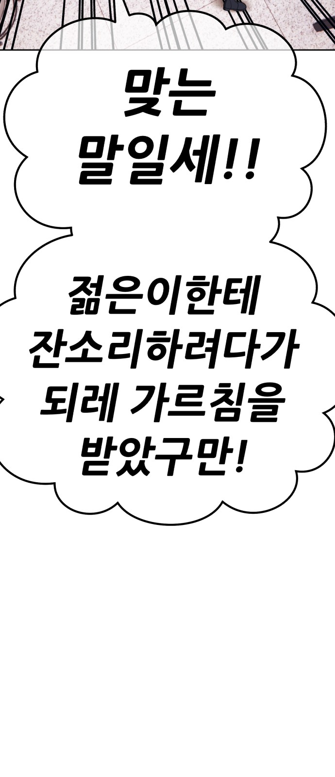 213 페이지