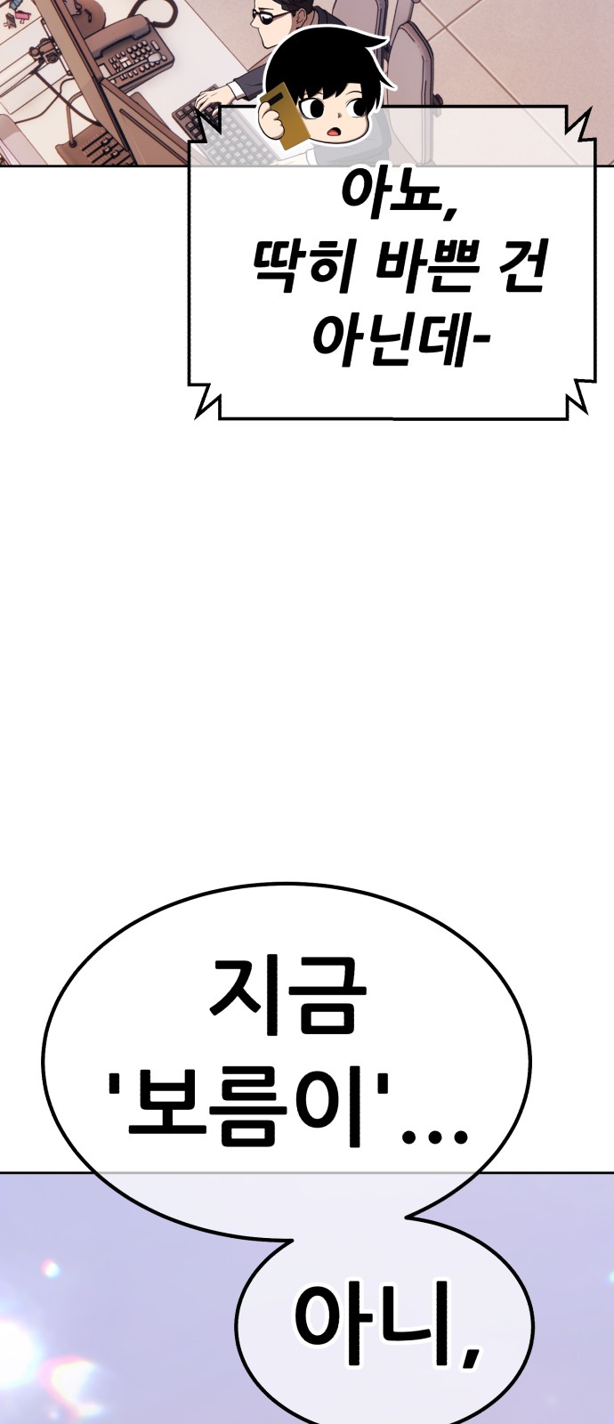 113 페이지