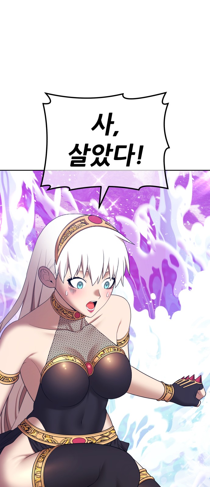 231 페이지