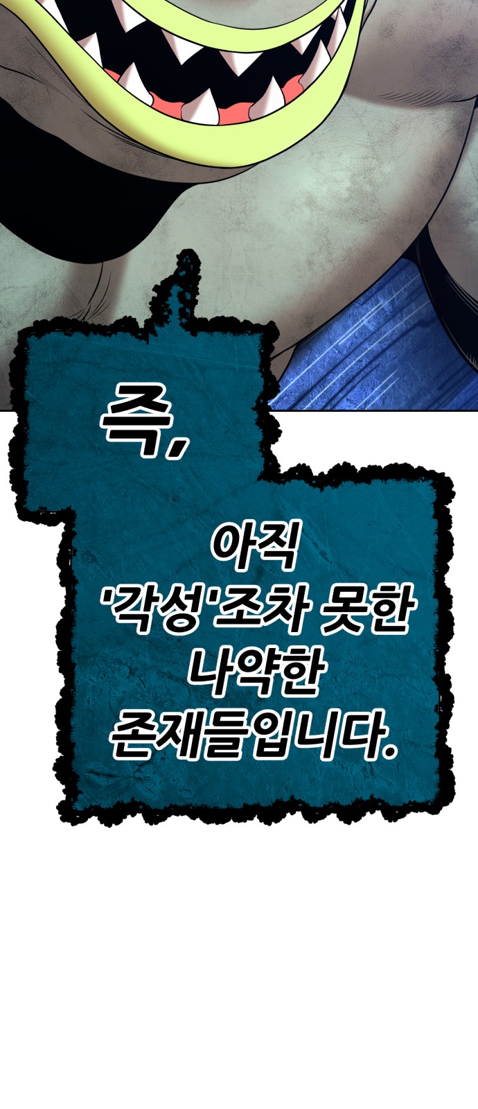 255 페이지