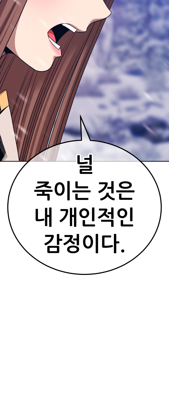 113 페이지