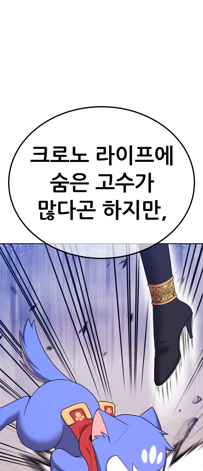 247 페이지