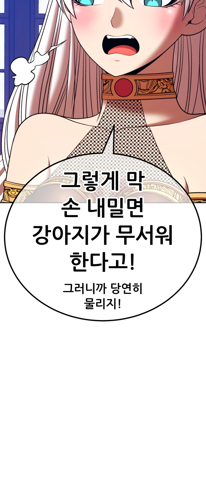 64 페이지