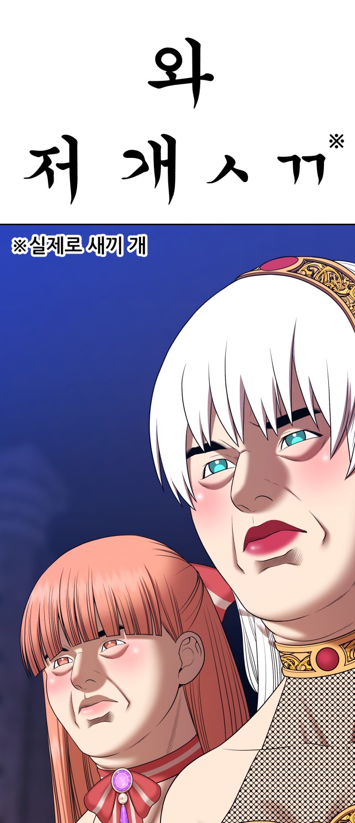 102 페이지