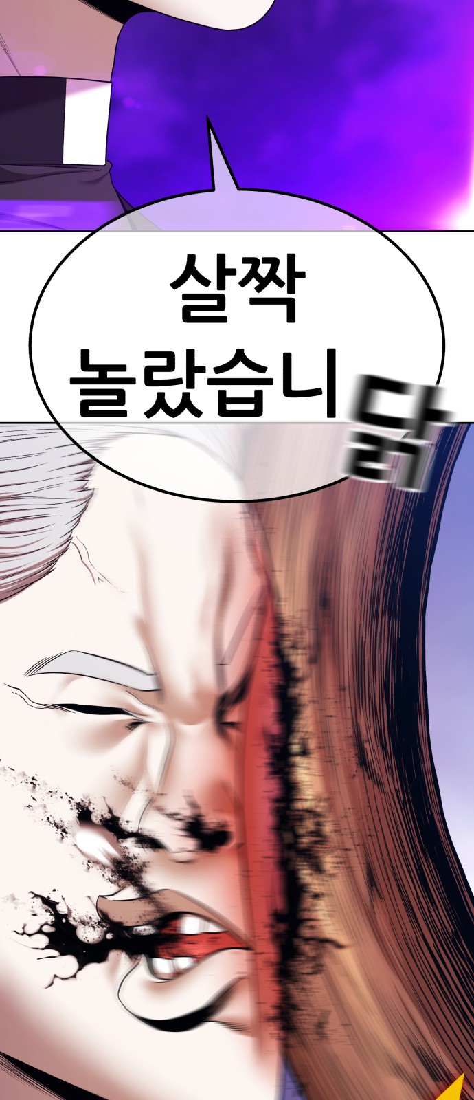 254 페이지