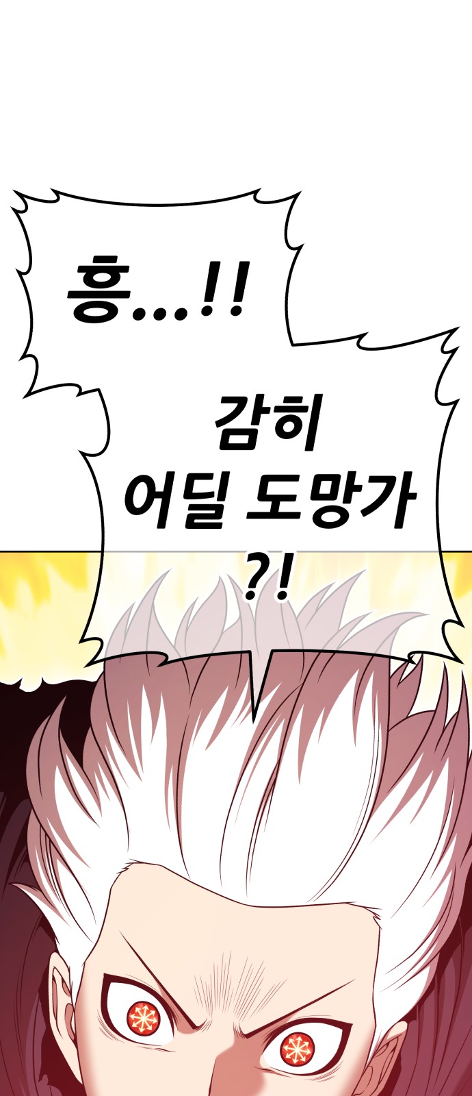 251 페이지