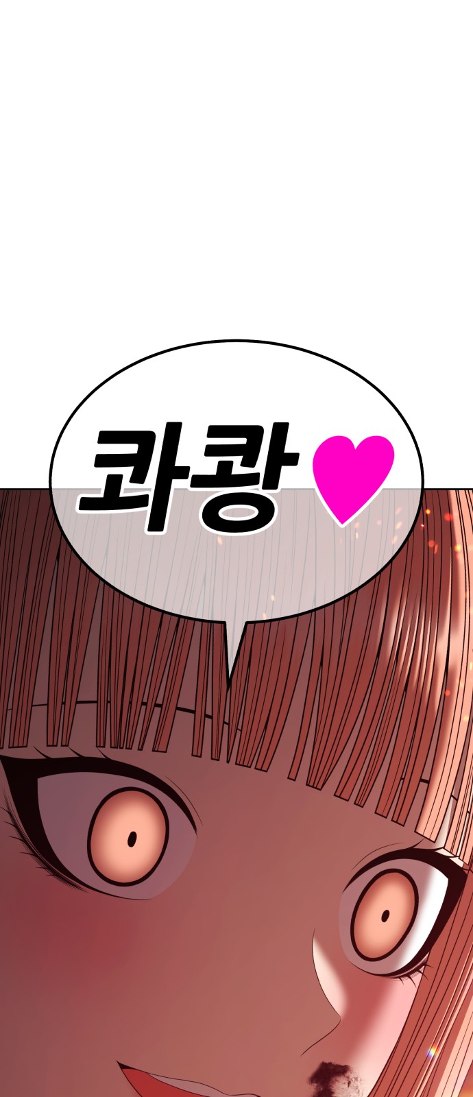 229 페이지
