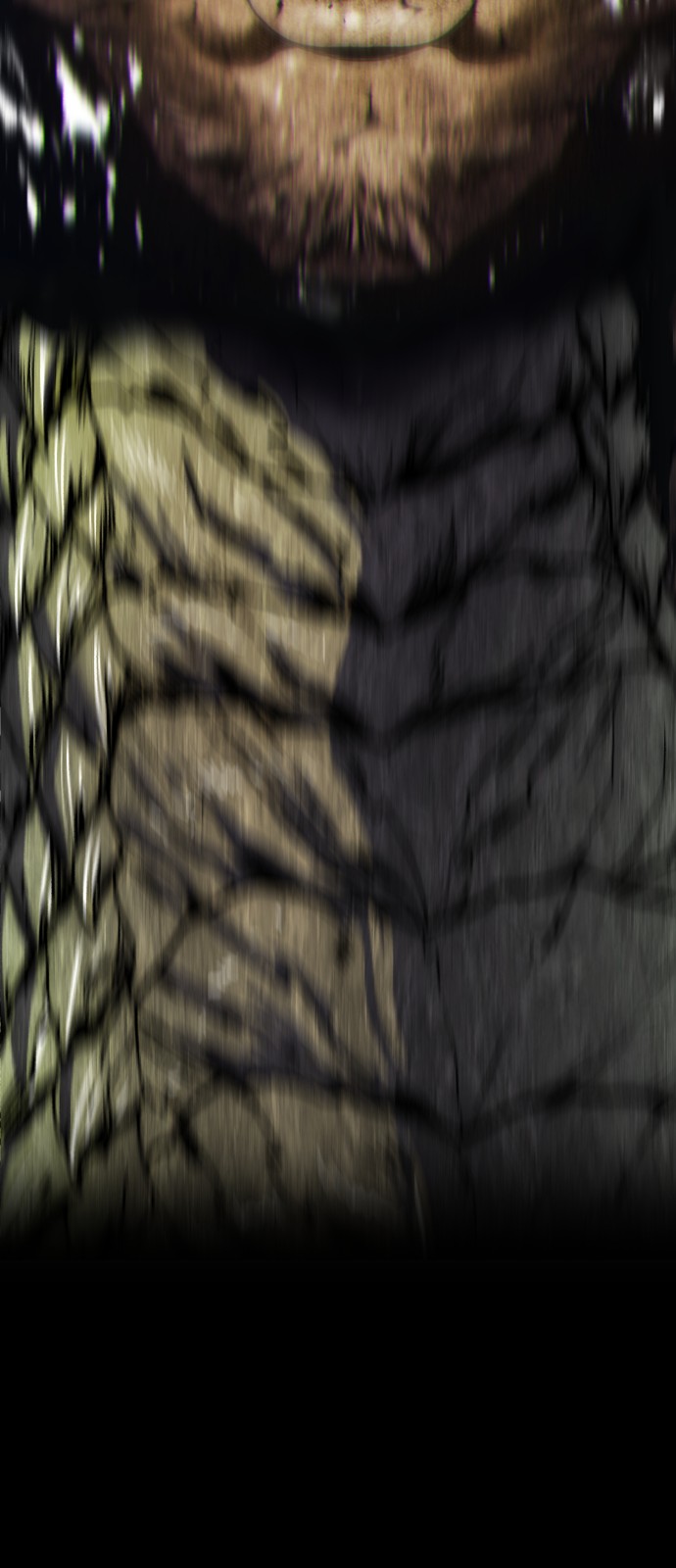343 페이지
