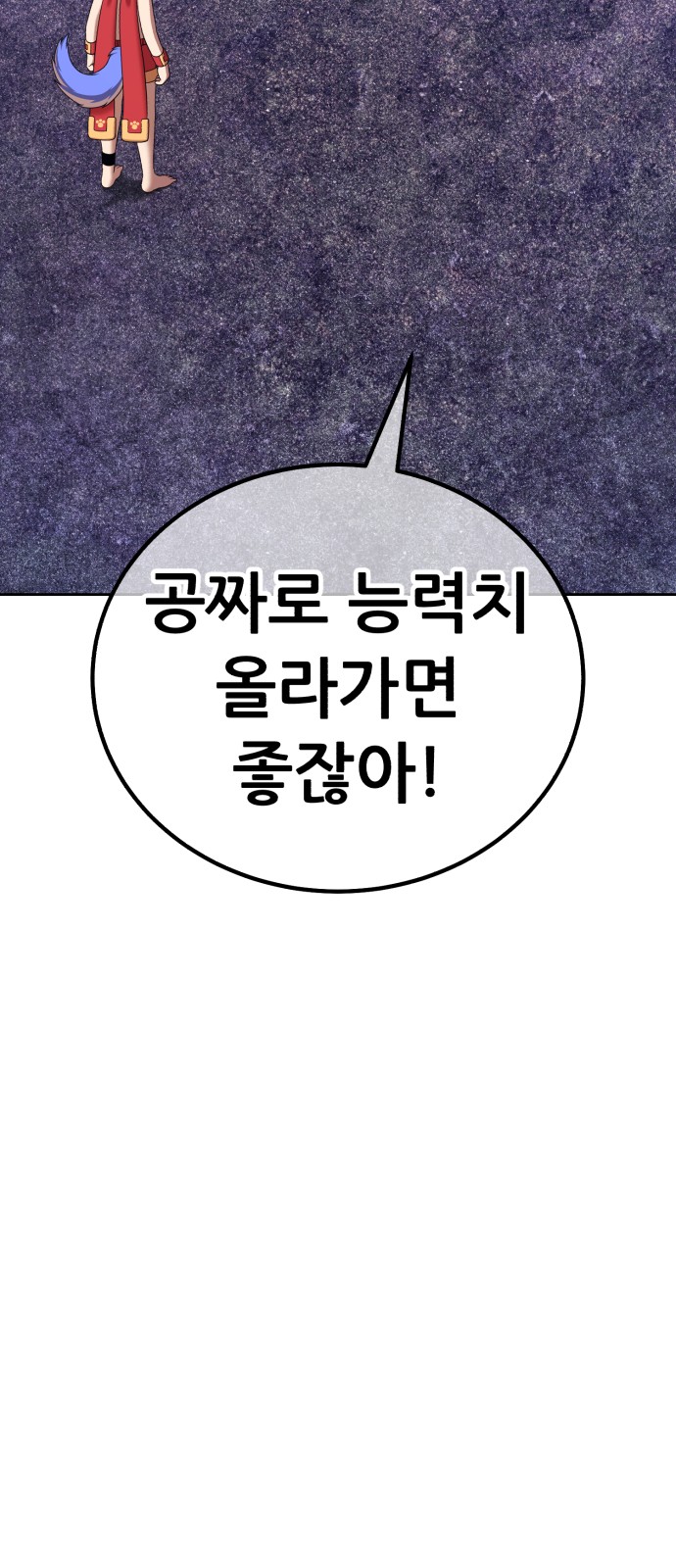 293 페이지
