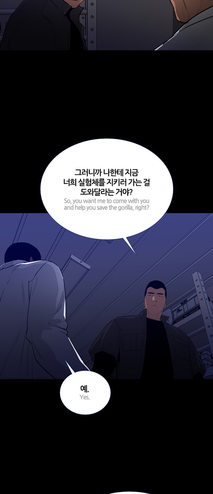 48 페이지