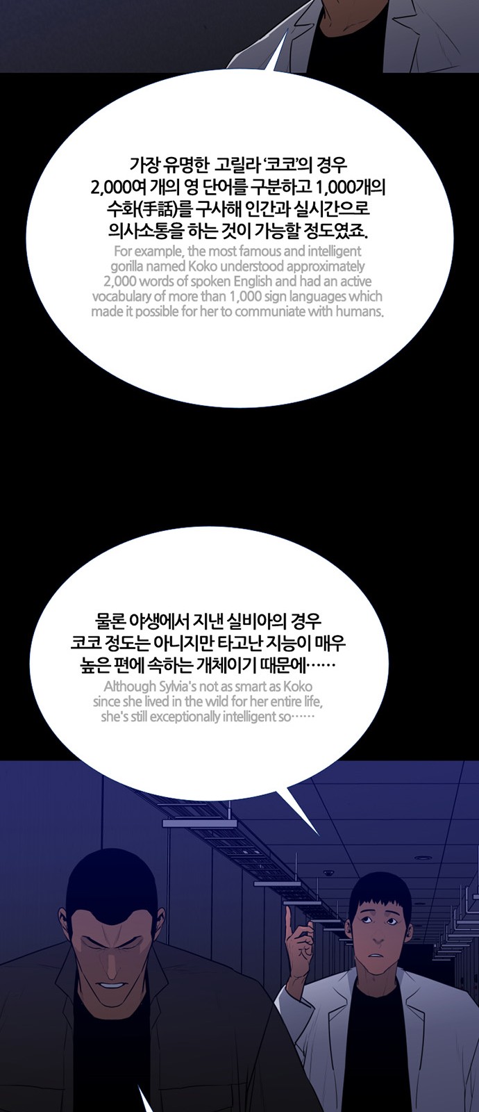 15 페이지