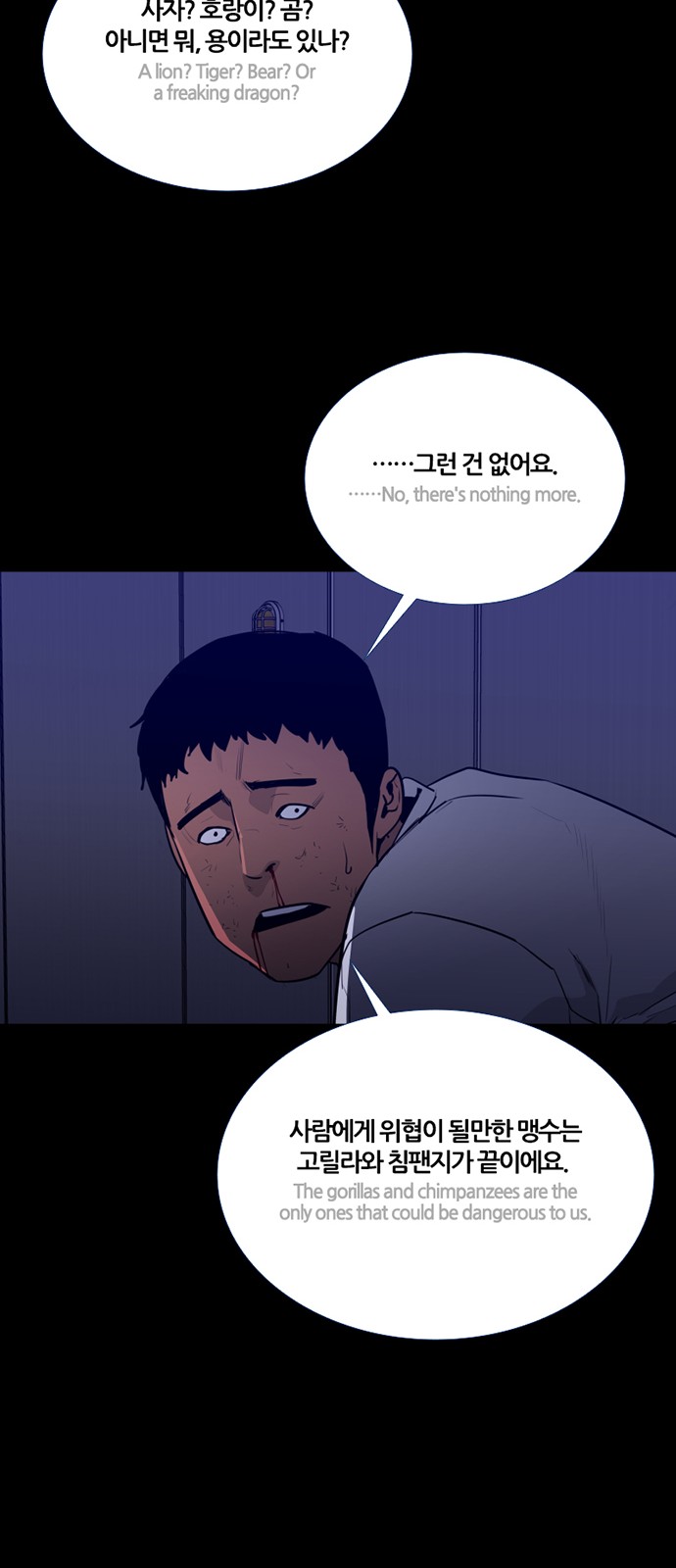41 페이지