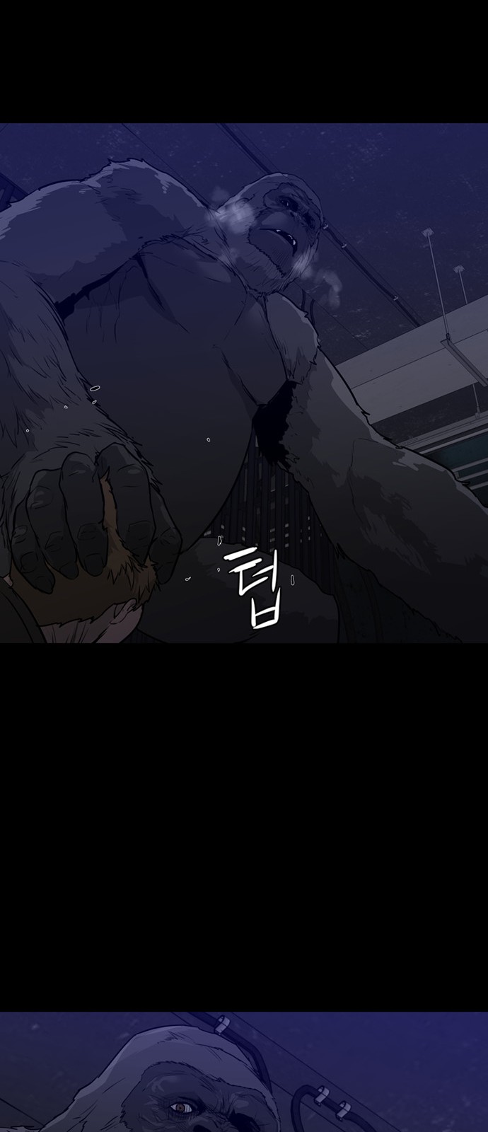 10 페이지