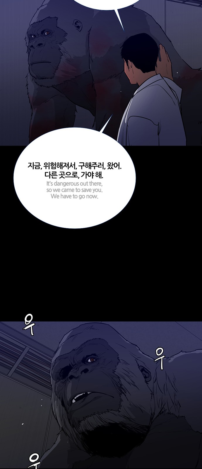 16 페이지