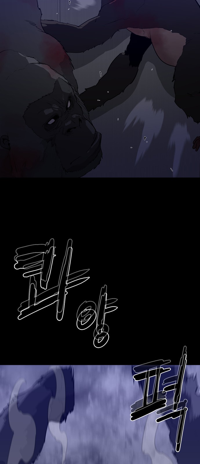 36 페이지