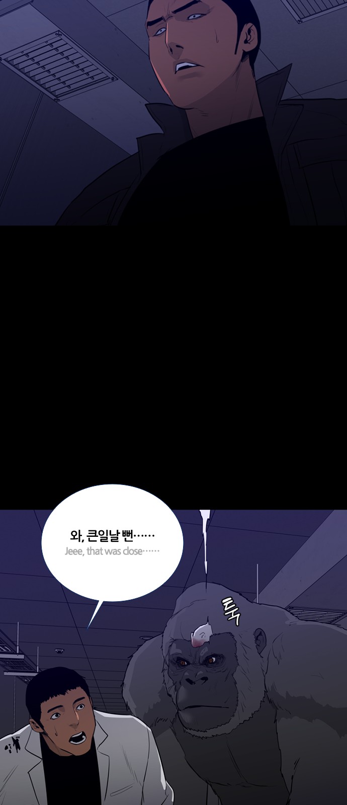 40 페이지