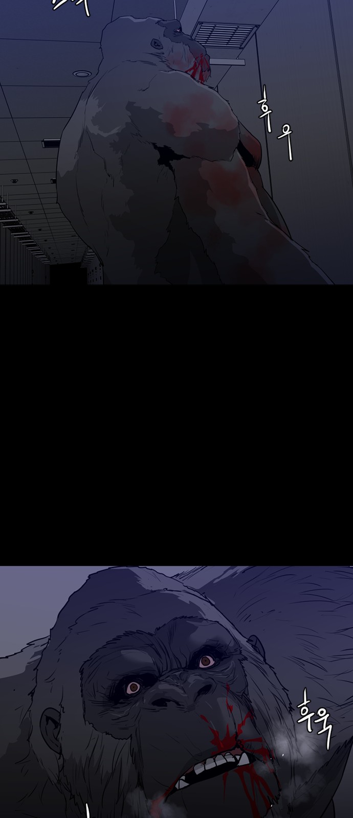 51 페이지