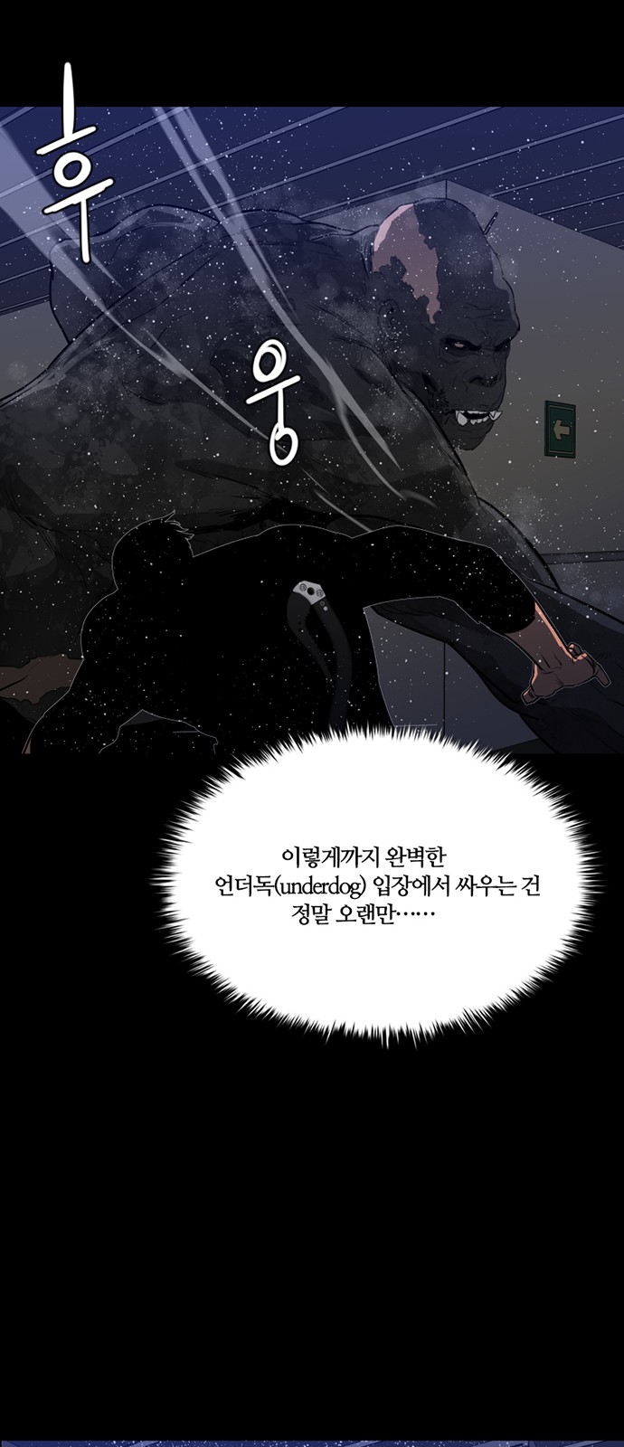 47 페이지