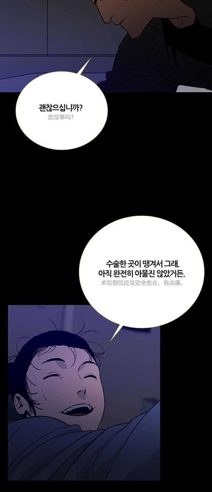 13 페이지