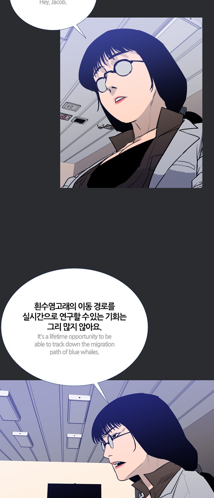 13 페이지