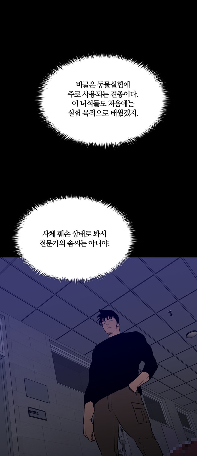 34 페이지