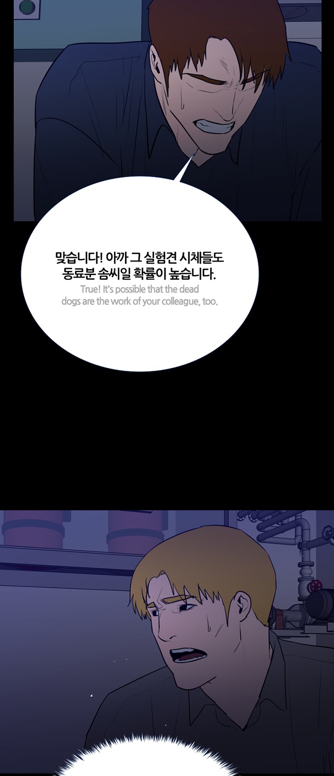 13 페이지