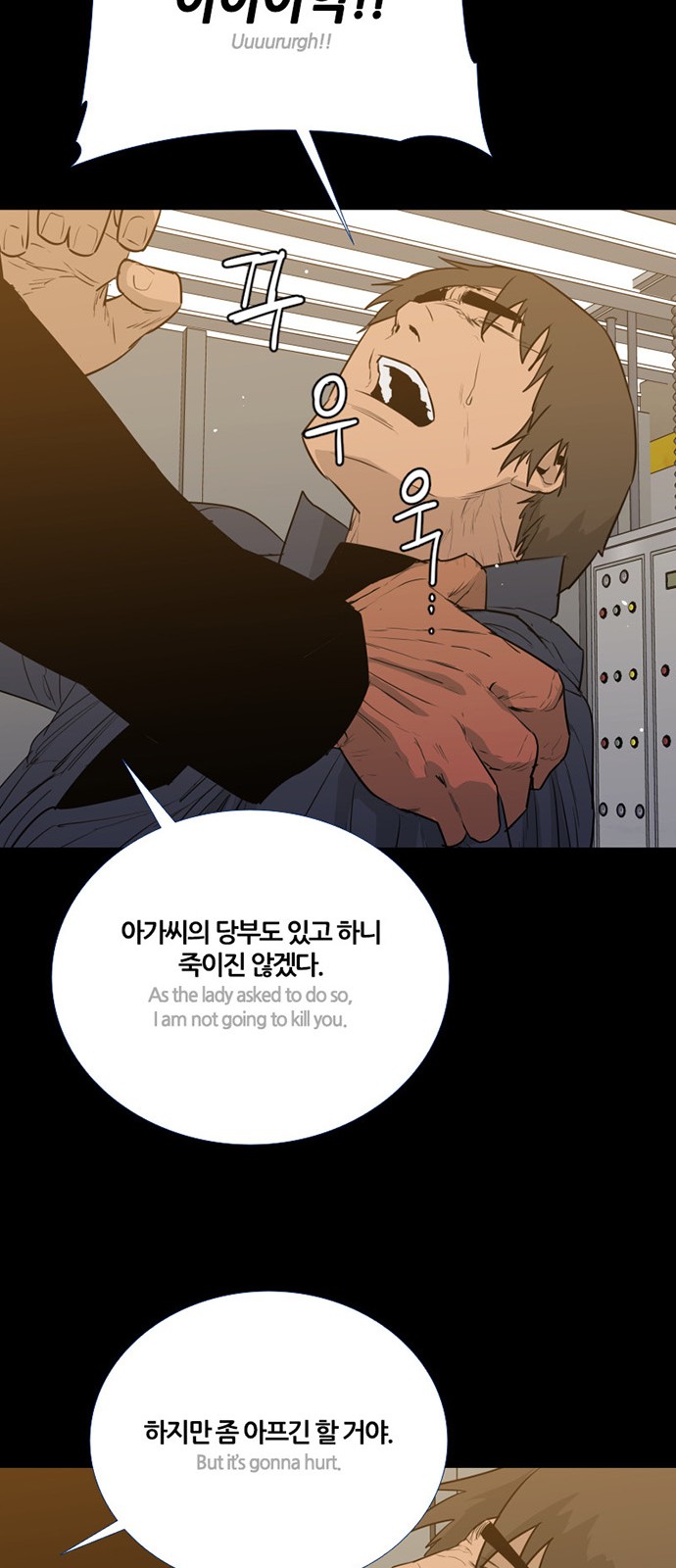 17 페이지