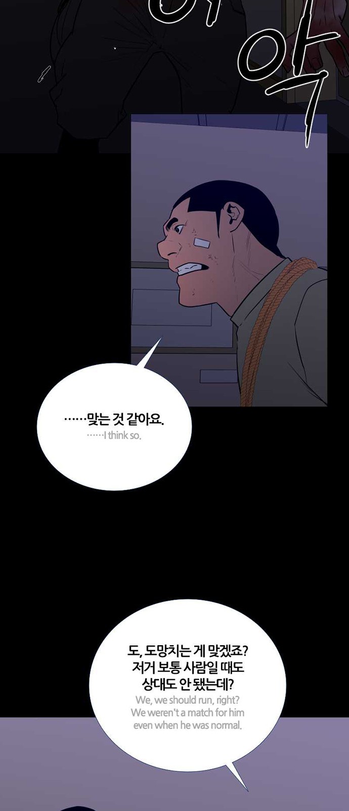 5 페이지