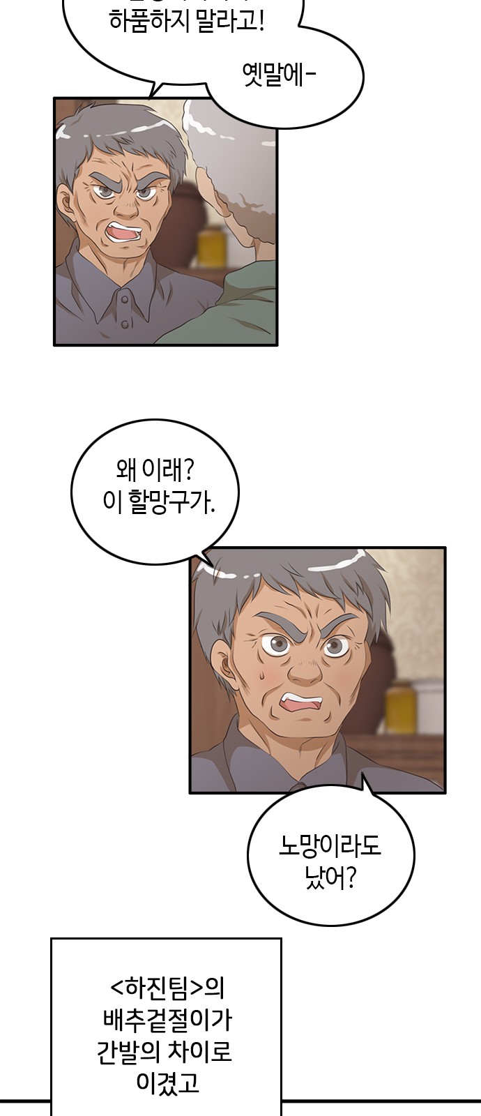 51 페이지