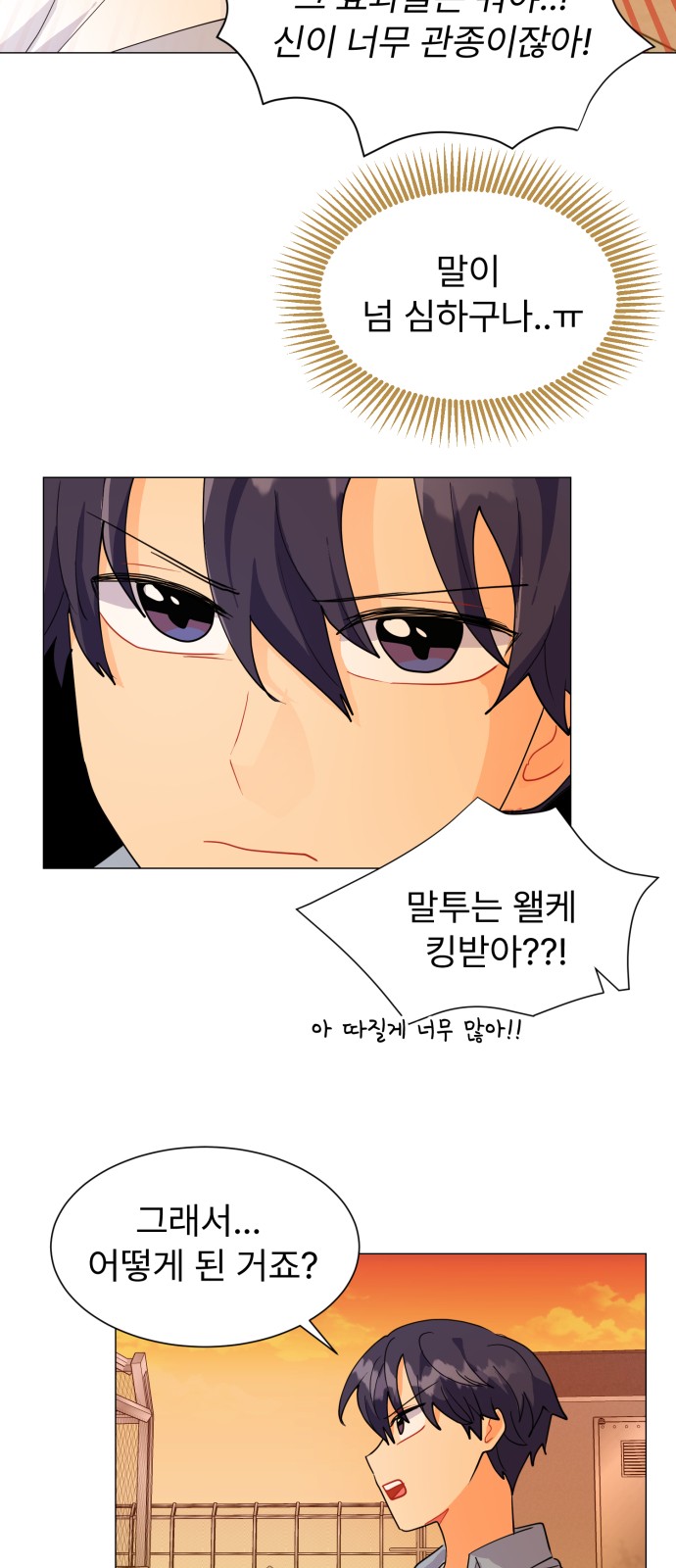 51 페이지