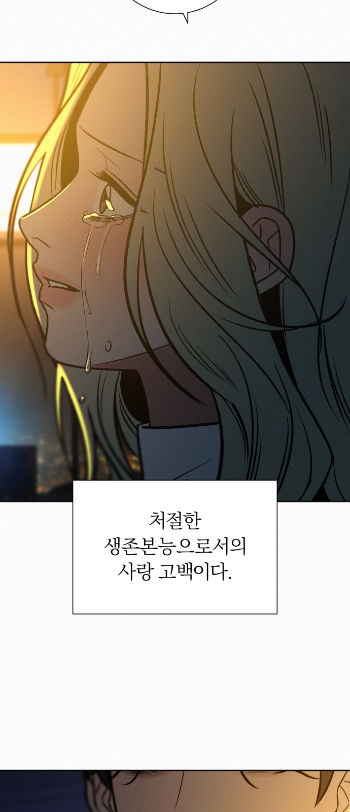 100 페이지