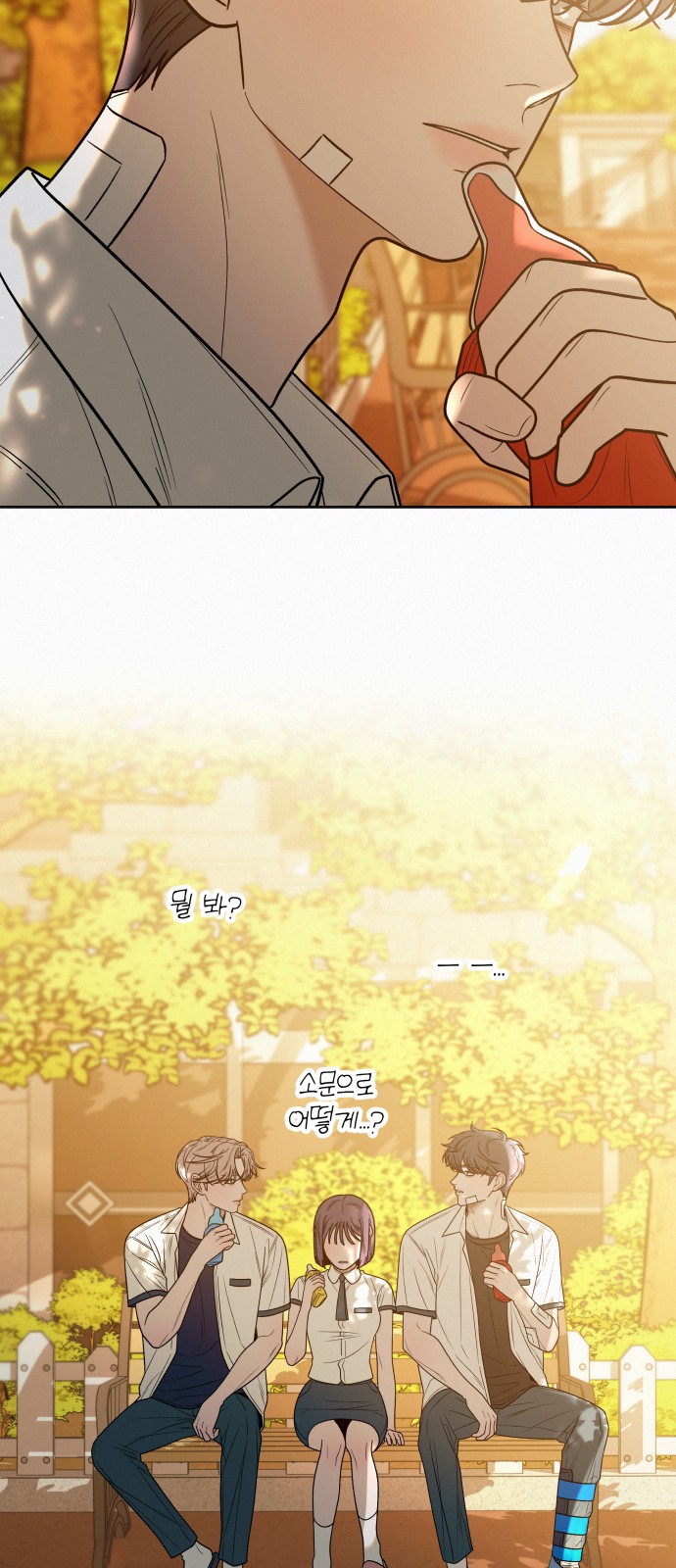 12 페이지