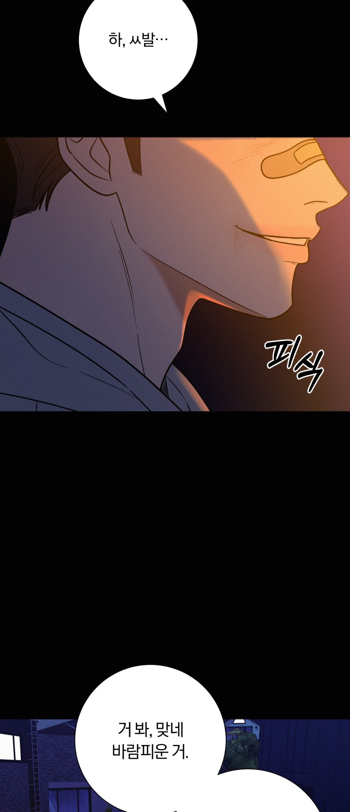 35 페이지