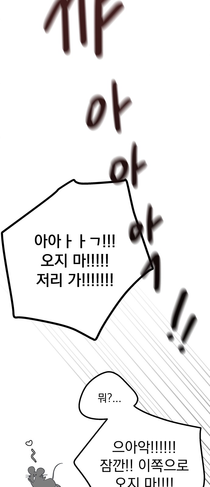111 페이지