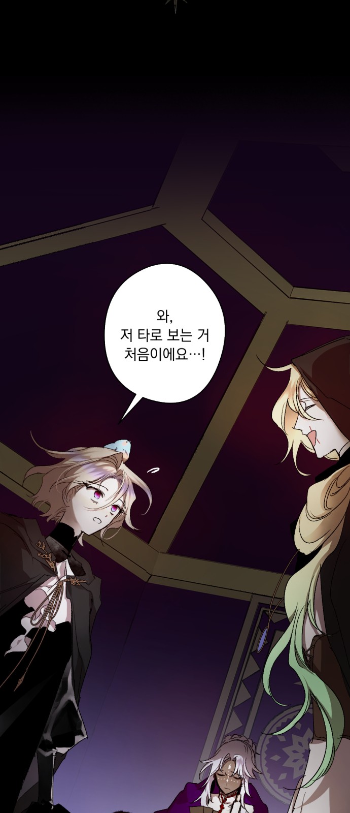 5 페이지