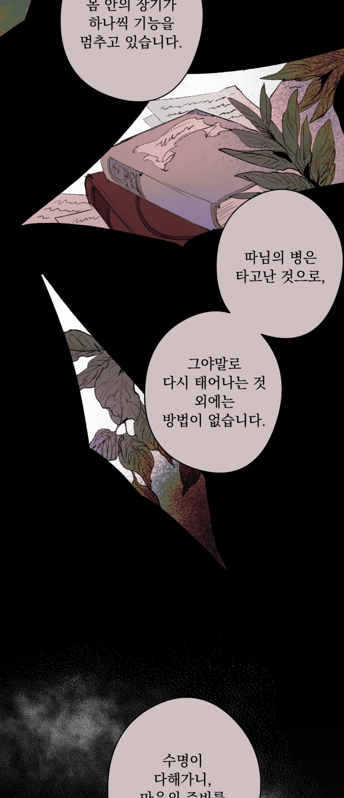 31 페이지