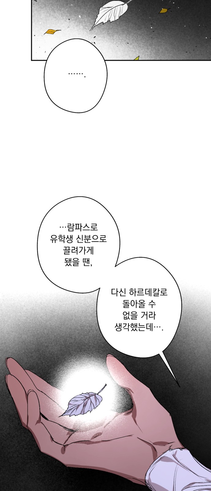 62 페이지