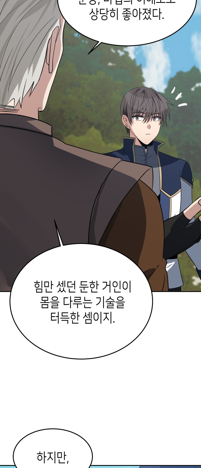 66 페이지